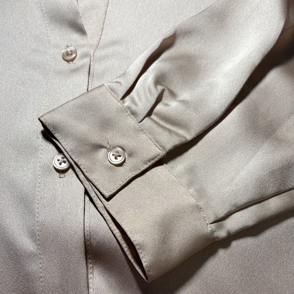 Ann Taylor Beige Button-Up Blouse - Picture 6 of 6
